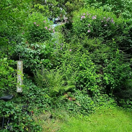 Ferienwohnung Ländlich ruhig im Bergischen Land Leichlingen Exterior foto