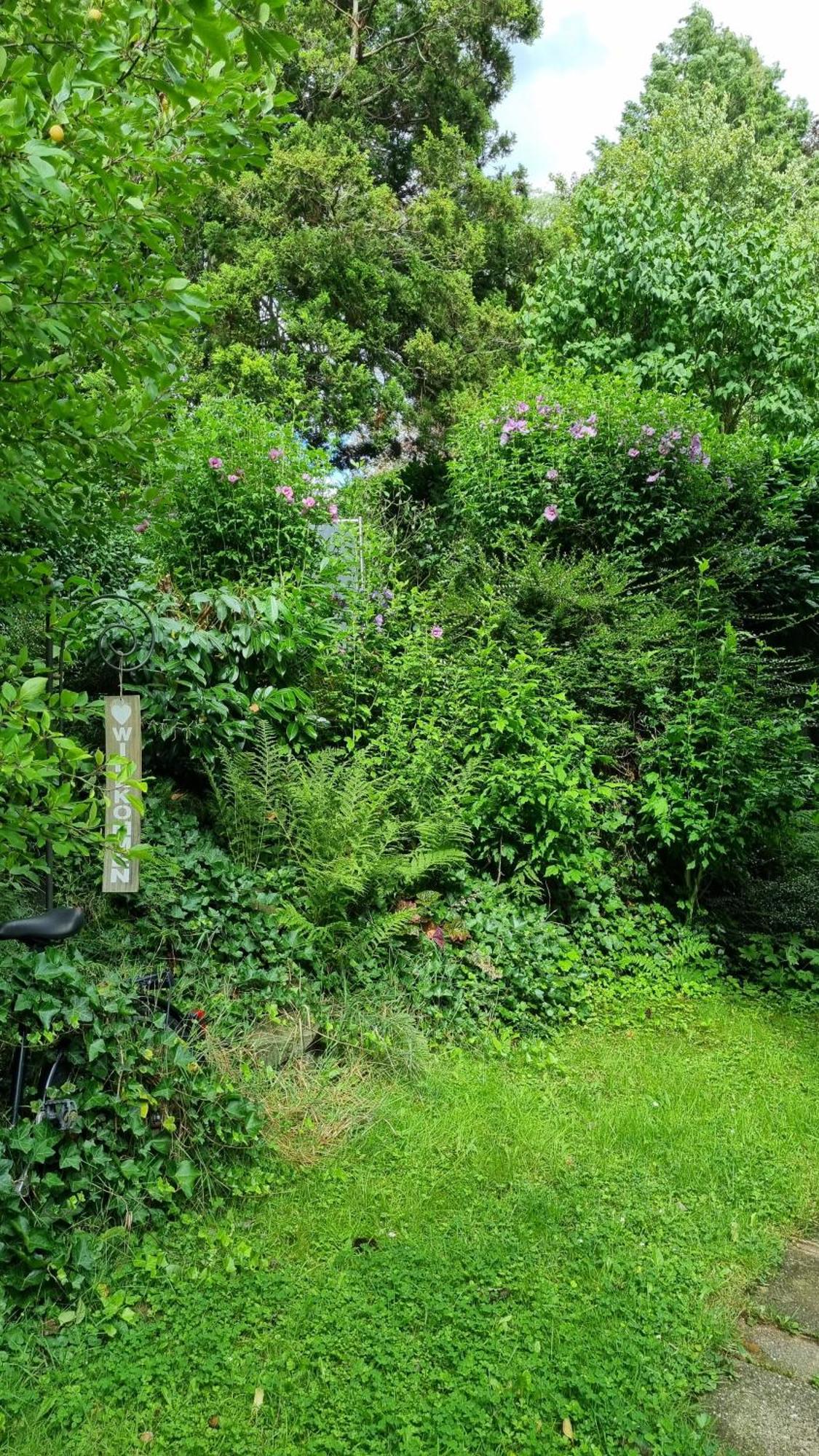 Ferienwohnung Ländlich ruhig im Bergischen Land Leichlingen Exterior foto